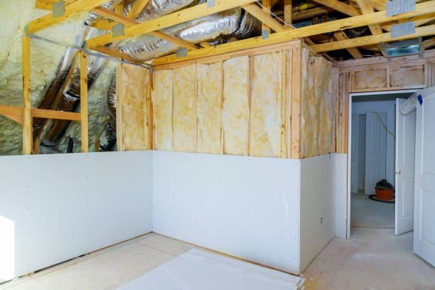 Best Insulation Removal  in Mccall, ID